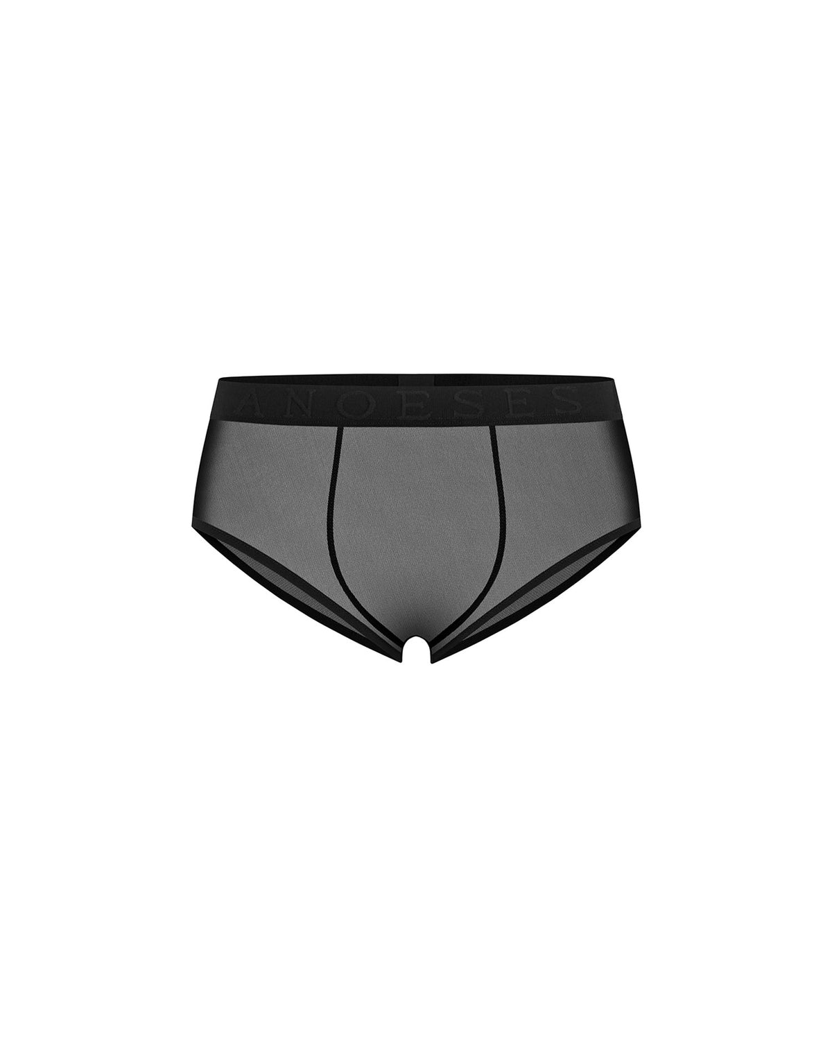 Briefs