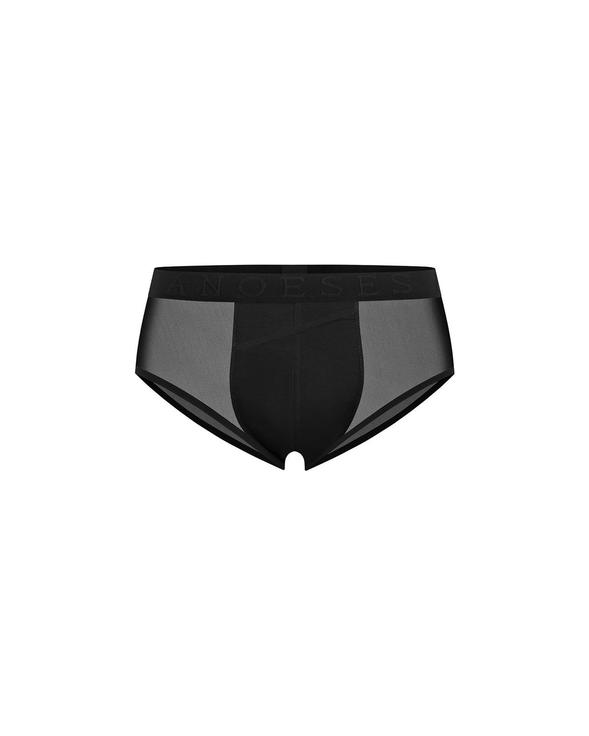 Briefs