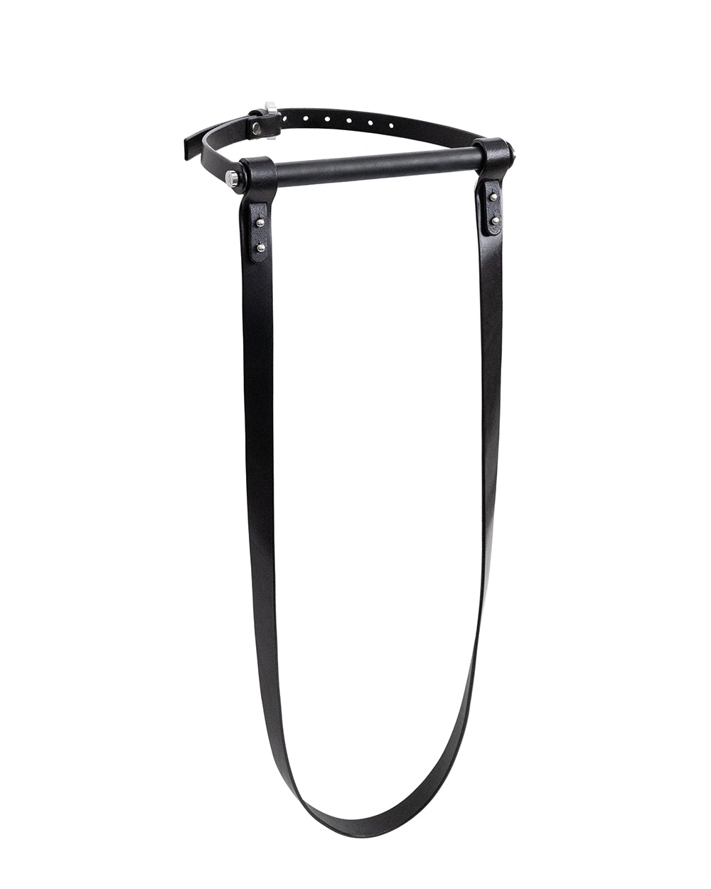 Gag with reins