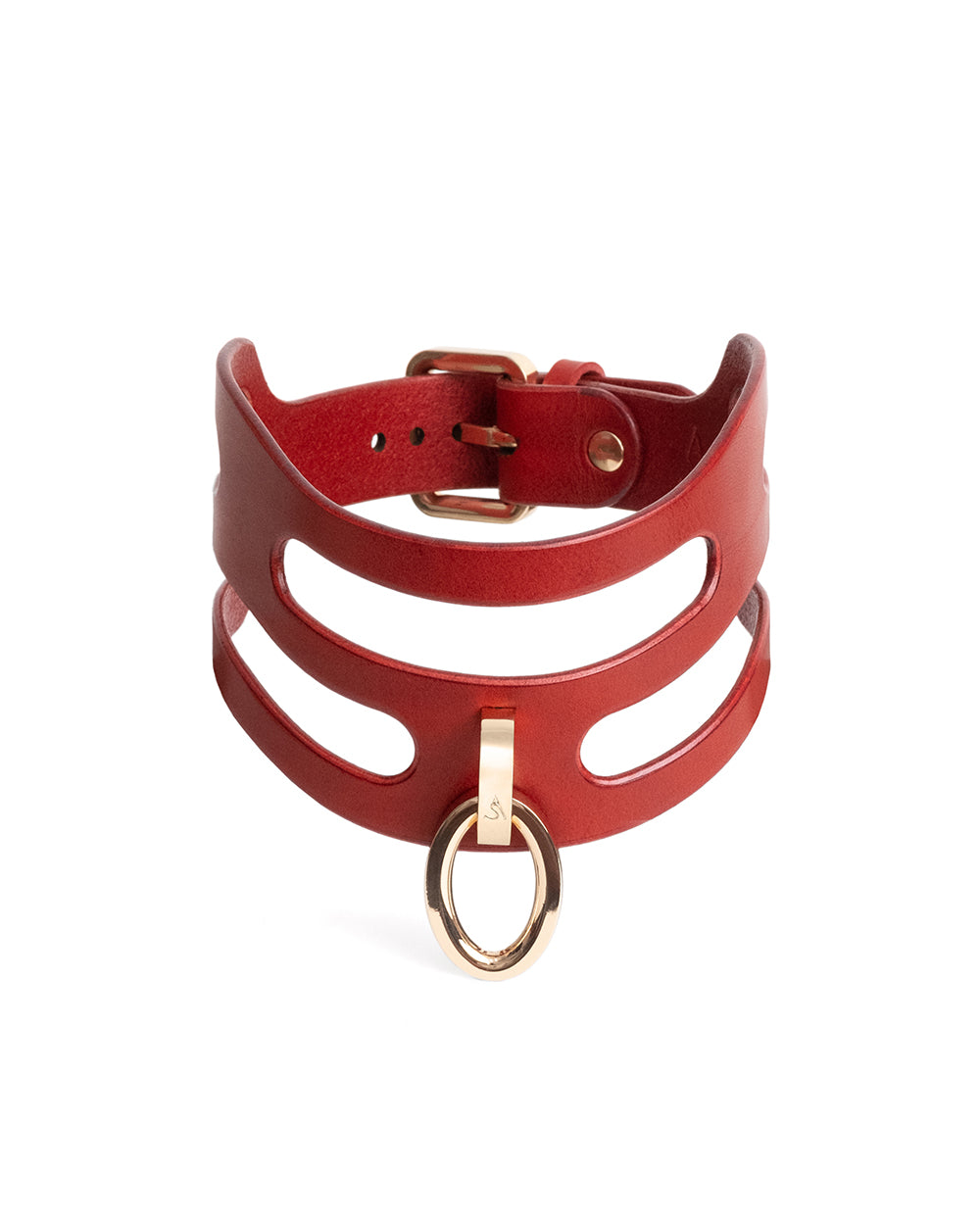Anoeses leather collar