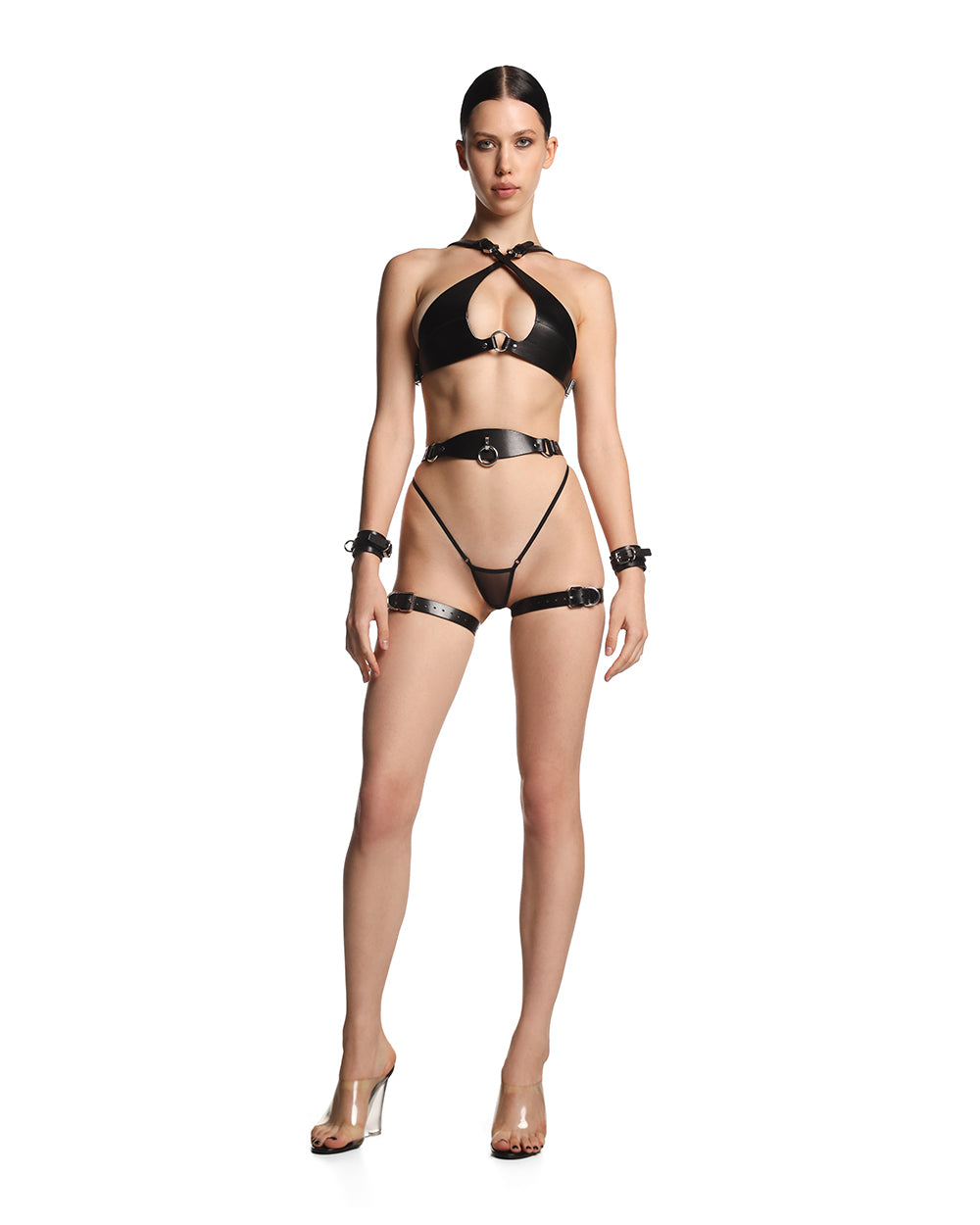 Harness