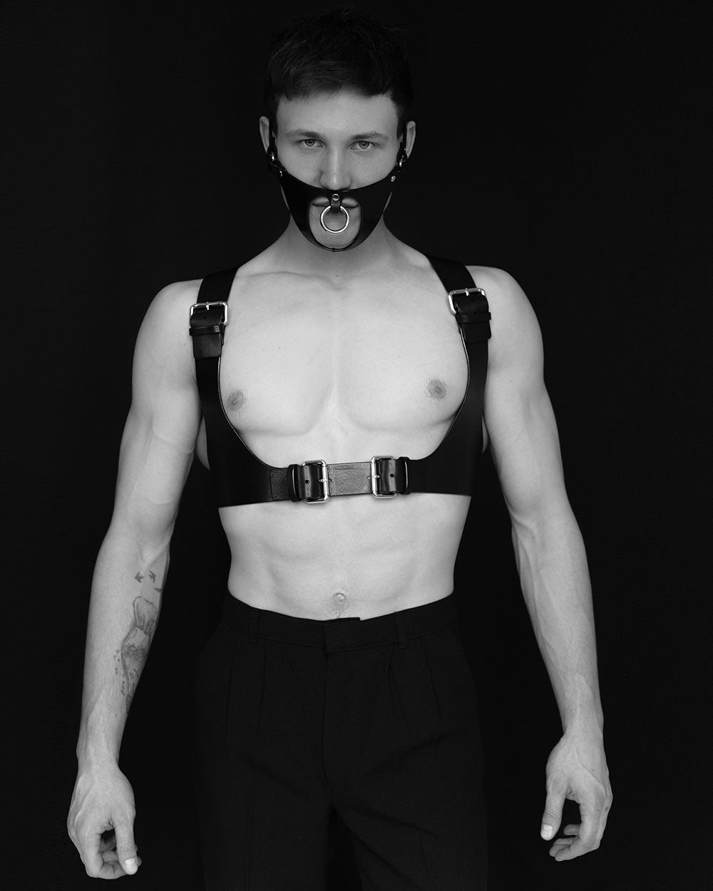 Harness