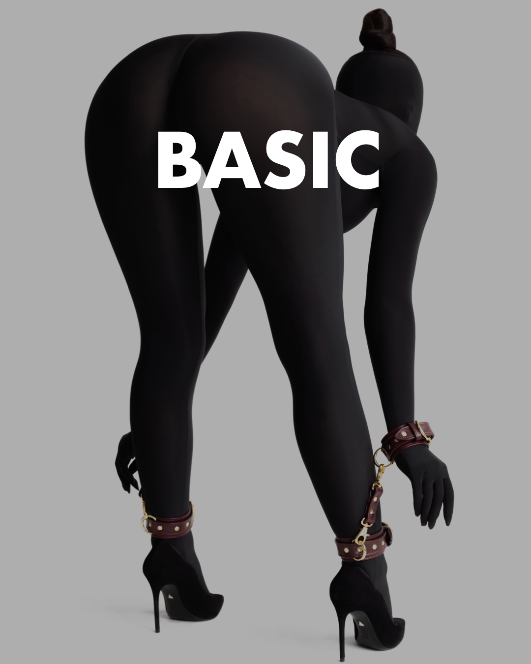 bdsm manual