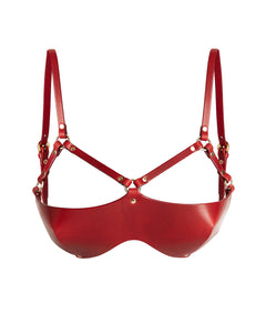 Red Leather Bra 
